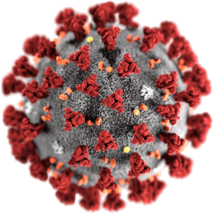 coronavirus